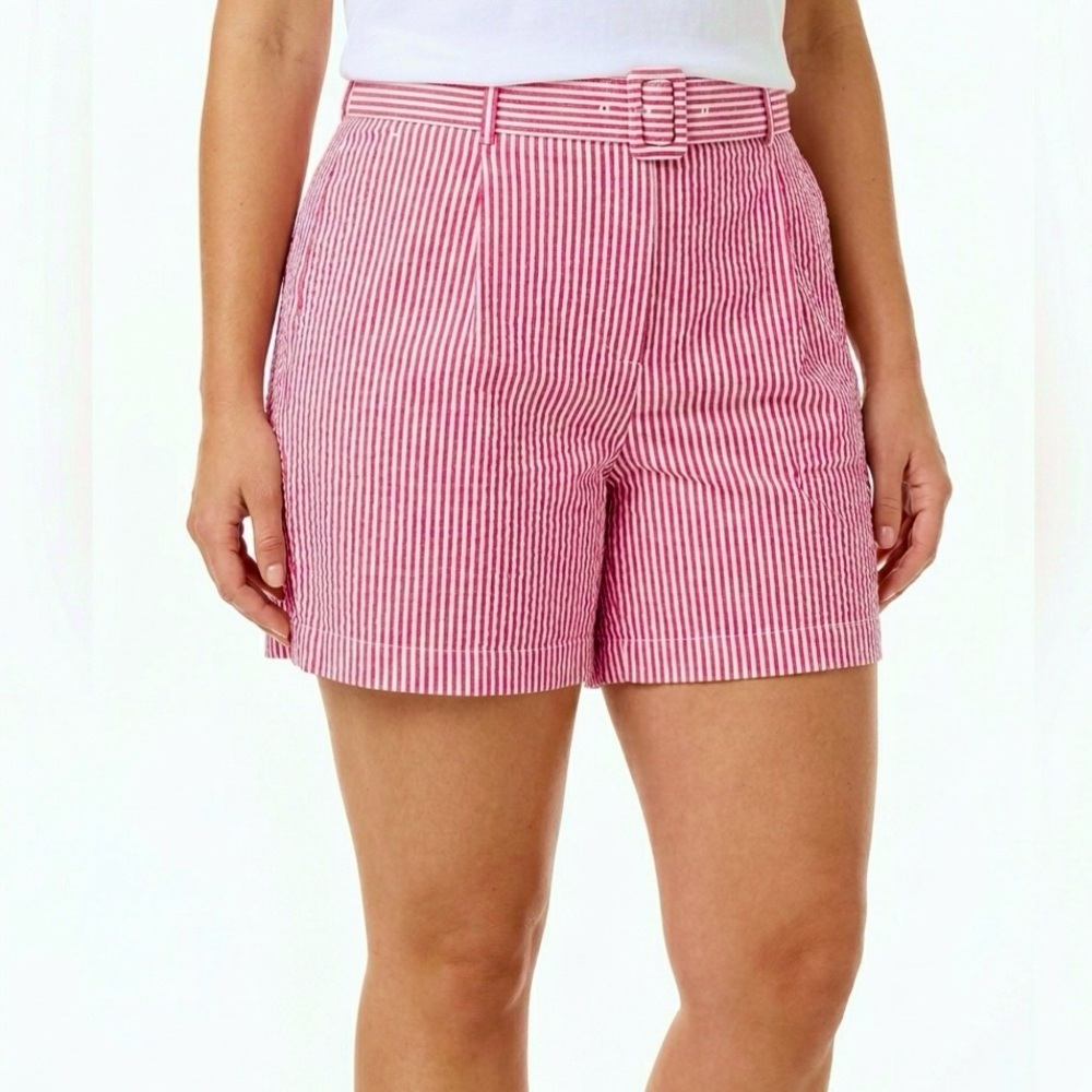 A New Day Shorts Striped Seersucker High Waisted Pink Belted 6” Inseam XXL NWT